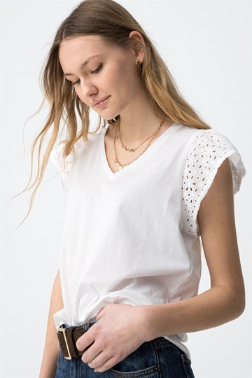 Camiseta de pico blanca, Graciosa - Imagen 2